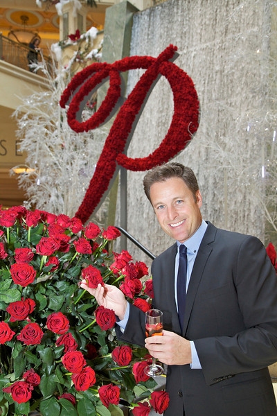 Photo Flash: THE BACHELOR's Chris Harrison Unveils the Palazzo Rose Image