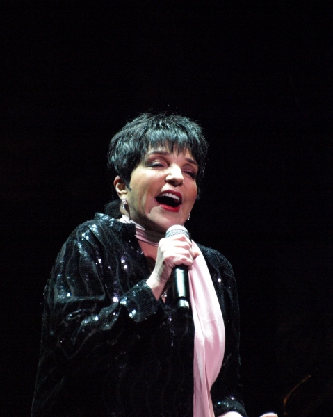 Photo Coverage: Liza Minnelli with MenAlive in A WINTER SPECTACULAR Opening Night at Segerstrom Hall Image