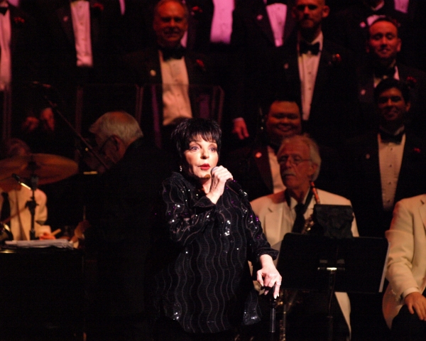 Liza Minnelli and MenAlive Photo