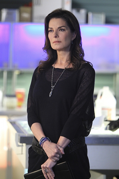 Photo Flash: First Look - CSI: NY's Winter Return, 'Command+P,' Airing 1/4 Image