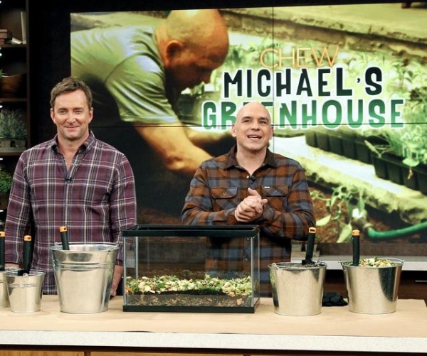 Photo Flash: First Look - THE BACHELOR's Sean Lowe on THE CHEW, 1/11 Image