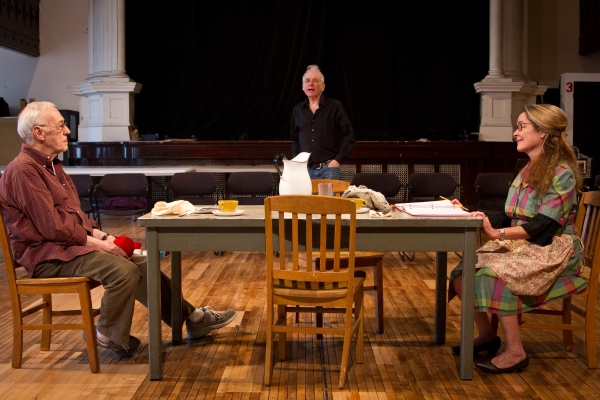 Photo Flash: Steppenwolf Theatre Begins Performances of THE BIRTHDAY PARTY Image