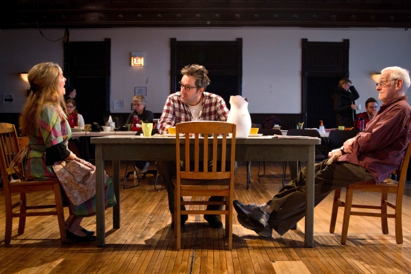 Photo Flash: Steppenwolf Theatre Begins Performances of THE BIRTHDAY PARTY Image