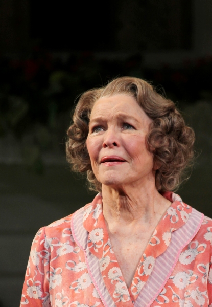 Photo Coverage: Inside PICNIC's Opening Night Curtain Call!  Image