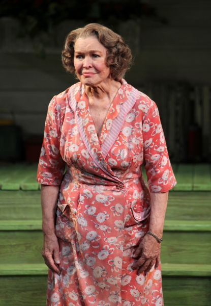 Photo Coverage: Inside PICNIC's Opening Night Curtain Call!  Image