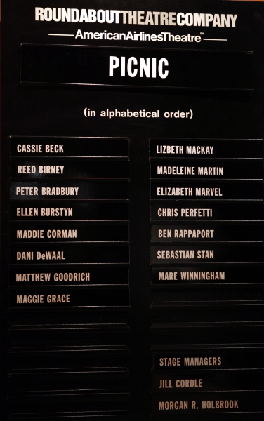 Photo Coverage: Inside PICNIC's Opening Night Curtain Call!  Image