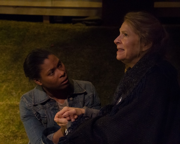 Photo Flash: First Look at Slant Theatre Project's THE STEADFAST World Premiere Off-Broadway Image