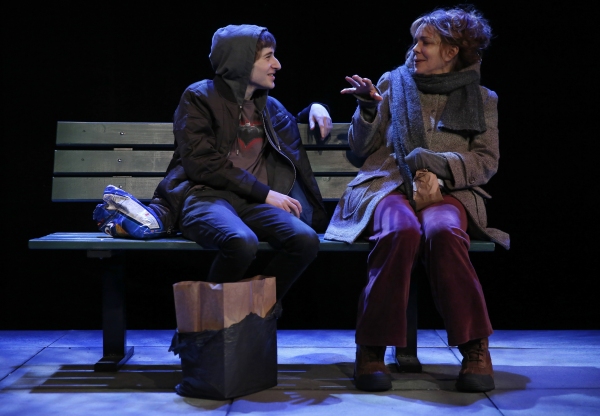 Photo Flash: Deirdre O'Connell and More Star in The Flea's THE VANDAL World Premiere, Opening Tonight Image
