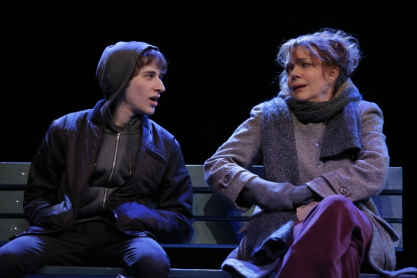 Photo Flash: Deirdre O'Connell and More Star in The Flea's THE VANDAL World Premiere, Opening Tonight Image