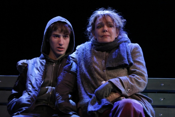 Photo Flash: Deirdre O'Connell and More Star in The Flea's THE VANDAL World Premiere, Opening Tonight Image