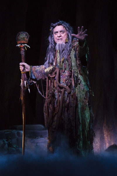 Photo Flash: First Look at Robert Petkoff, Tony Sheldon and More in TUTS' CAMELOT Image