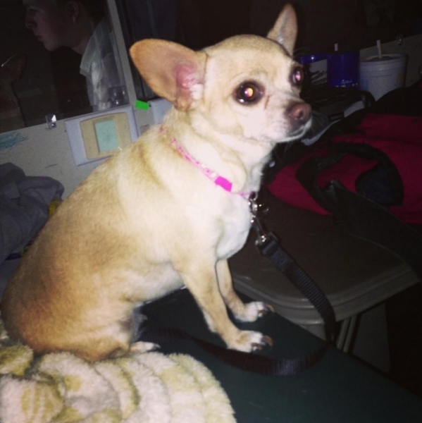 Photo Flash: Saturday Intermission Pics, Jan 26 - Farewell to EVITA, Goodbye to BOOK OF MORMON's Rory O'Malley and More!  Image