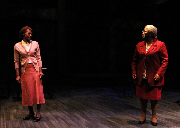 Photo Flash: First Look at History Theatre's NELLIE Image