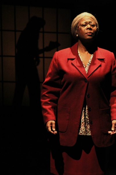 Photo Flash: First Look at History Theatre's NELLIE Image
