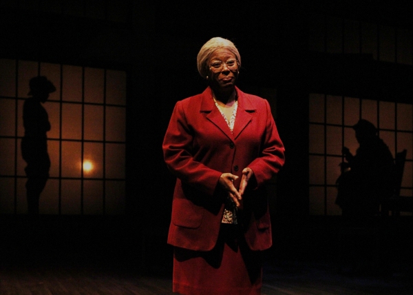 Photo Flash: First Look at History Theatre's NELLIE Image