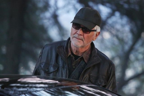 Photo Flash: CASTLE's 'Hunt,' Feat. James Brolin Image