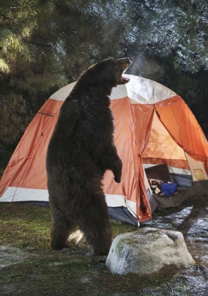 Photo Flash: THE NEIGHBORS' 'Camping' 