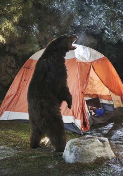 Photo Flash: THE NEIGHBORS' 'Camping' Image