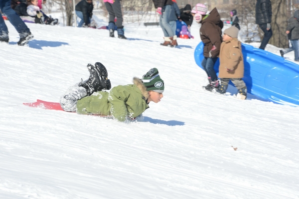 Photo Flash: Snow Day Fun at Crotona Park in the Bronx 