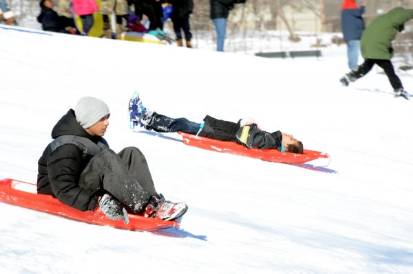 Photo Flash: Snow Day Fun at Crotona Park in the Bronx 