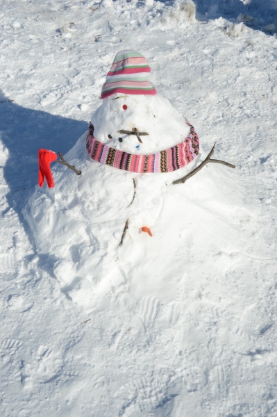 Photo Flash: Snow Day Fun at Crotona Park in the Bronx 