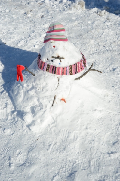 Photo Flash: Snow Day Fun at Crotona Park in the Bronx Image