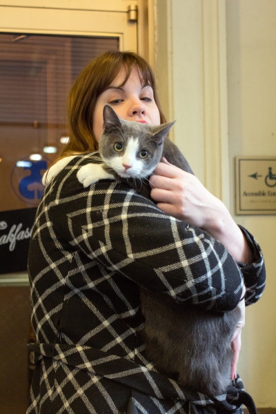 Photo Coverage: Felines Gather to Play 'Cat' in BREAKFAST AT TIFFANY'S! Image