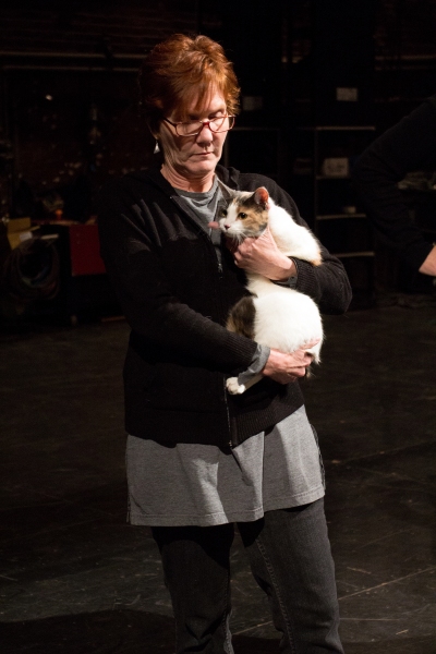 Photo Coverage: Felines Gather to Play 'Cat' in BREAKFAST AT TIFFANY'S! Image