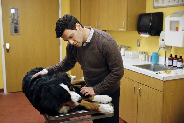 Photo Flash: First Look - 'Dog Children' Episode of NBC's THE NEW NORMAL Image
