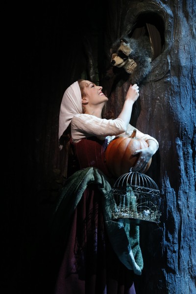 Photo Flash: First Look at RODGERS + HAMMERSTEIN'S CINDERELLA on Broadway! Image