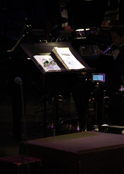 Photo Coverage: Inside the RAGTIME Concert at Avery Fisher Hall! Image
