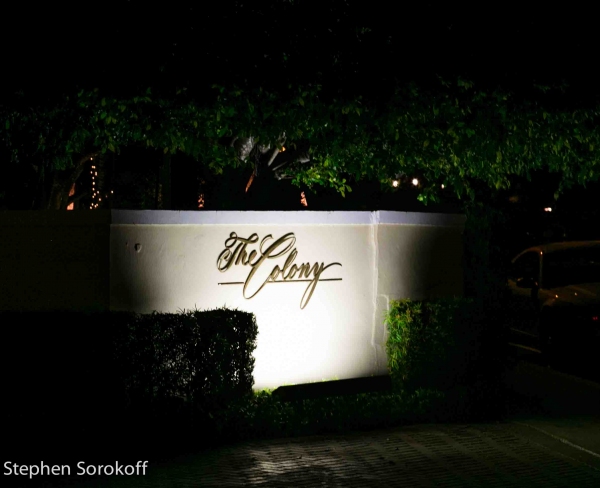 Photo Coverage: Nicolas King Plays Royal Room at Colony Hotel Image