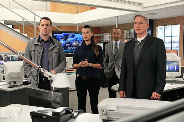 Photo Flash: NCIS' 'Prime Suspect,' Airing 3/5 Image