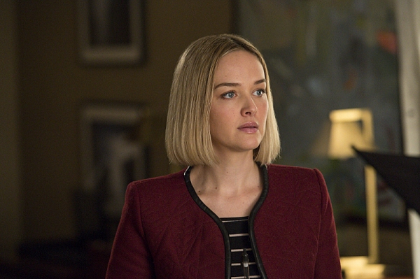 Photo Flash: THE GOOD WIFE's 'Invitation to an Inquest,' Airing 3/17 Image