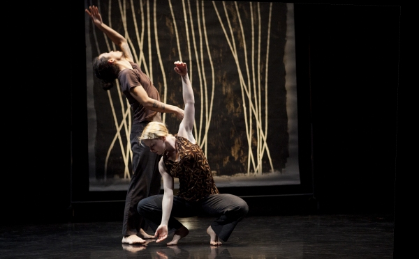 Photo Flash: First Look at Peggy Baker Dance Projects' STEREOPHONIC in Toronto Image