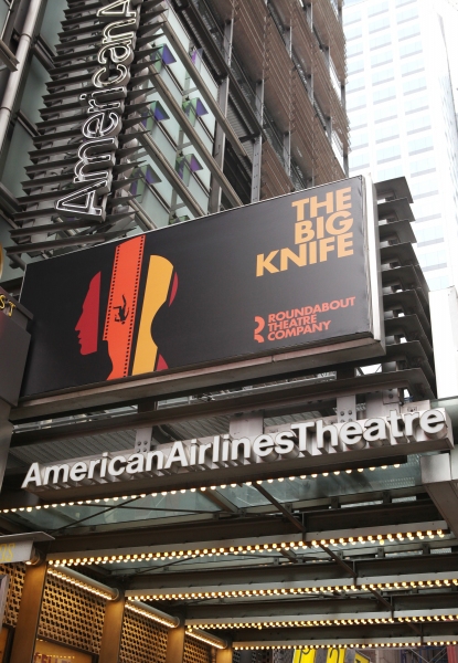 Photo Coverage: Meet the Cast of THE BIG KNIFE! Image