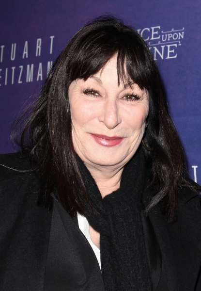 Photo Coverage: CINDERELLA's Opening Night Theatre Arrivals! Image