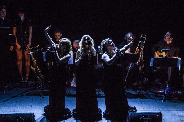 Photo Coverage: Inside DIVA's Album Release Concert! Image