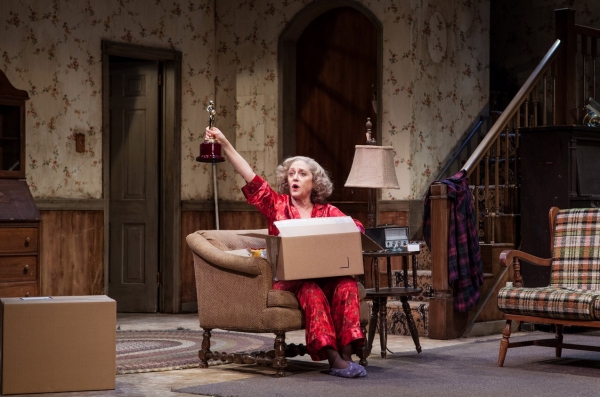 Photo Flash: First Look at Carol Kane & Mickey Sumner in THE LYING LESSON Image