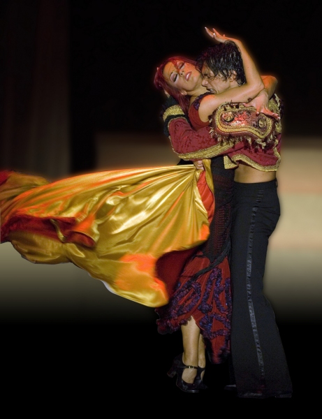 Photo Flash: Sneak Peek at BURN THE FLOOR Opening at West End's Shaftesbury Tonight! Image