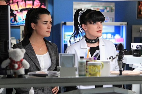 Photo Flash: First Look - NCIS' 'Seek,' Airing 3/19 Image
