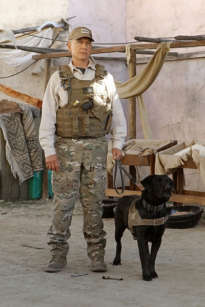 Photo Flash: First Look - NCIS' 'Seek,' Airing 3/19 Image