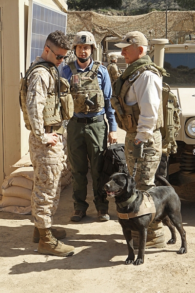 Photo Flash: First Look - NCIS' 'Seek,' Airing 3/19 Image
