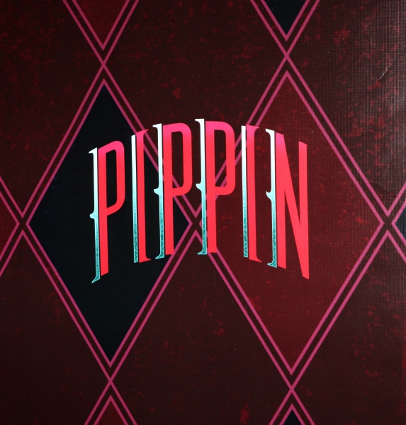 Photo Coverage: PIPPIN Meets the Press - Patina Miller, Matthew James Thomas, Terrence Mann and More! Photo Coverage: PIPPIN Meets the Press - Patina Miller, Matthew James Thomas, Terrence Mann and More! Image