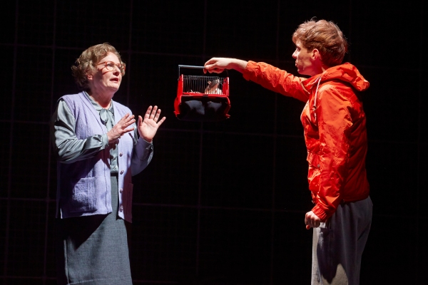 Photo Flash: First Look at THE CURIOUS INCIDENT OF THE DOG IN THE NIGHT-TIME in the West End! Image