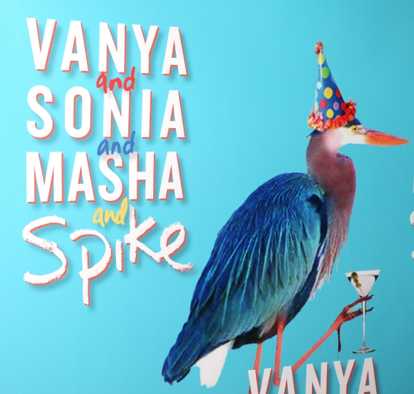 Photo Coverage: Cast of VANYA AND SONIA AND MASHA AND SPIKE Celebrates Opening Night!  Image