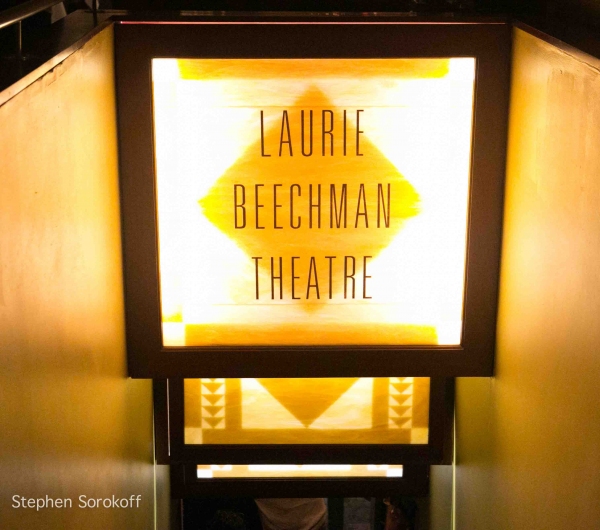 Photo Coverage: THE AMANDA MCBROOM Project at the Laurie Beechman Image