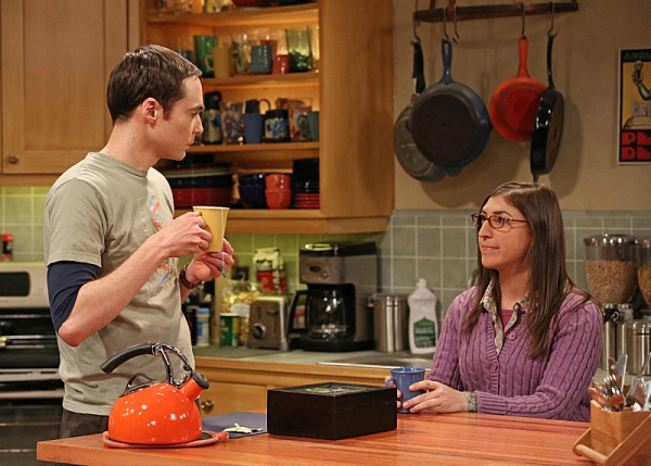 Photo Flash: First Look - THE BIG BANG THEORY's 'The Tenure Turbulence,' Airing 4/3 Image