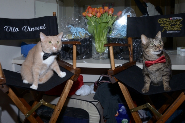 Photo Flash: Backstage with the BREAKFAST AT TIFFANY'S Kitties! Image