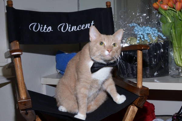 Photo Flash: Backstage with the BREAKFAST AT TIFFANY'S Kitties! Image
